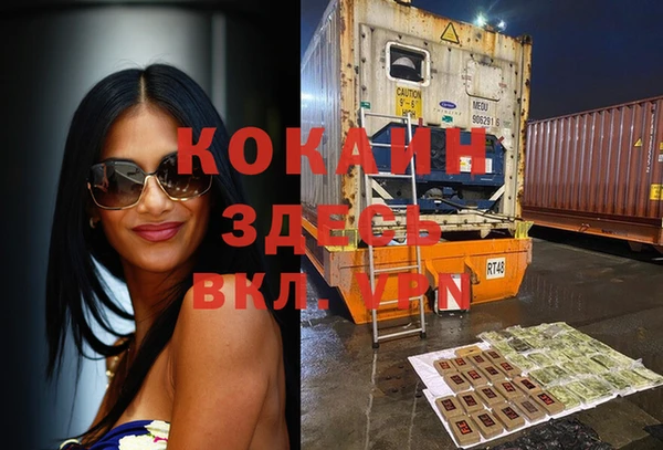 бошки Дмитров