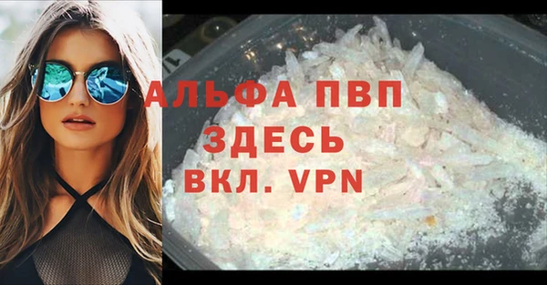 бошки Дмитров