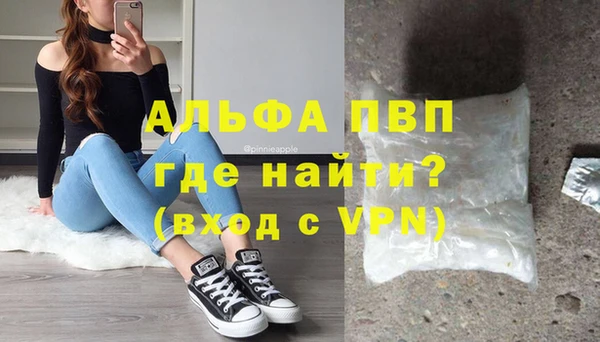 бошки Дмитров