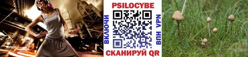 Галлюциногенные грибы Cubensis  Купить  Кириллов 